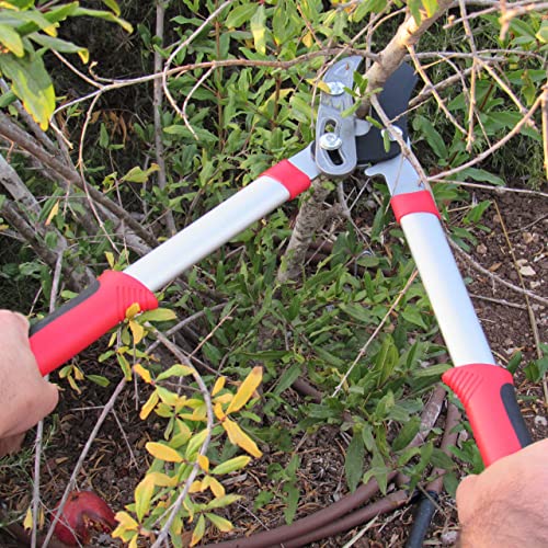 TABOR TOOLS GB19A Anvil Lopper with Compound Action, Chops Thick