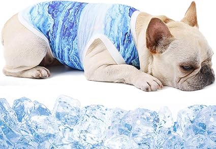 Cooling shirt for dogs Clearance