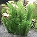 Silk Aquarium Decorations Plants-Fish Tank Decor Plants Plastic Water Plants Green Artificial Aquatic Plant Betta Fish Accessories 5PCSthumb 3