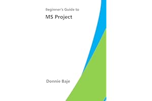 Beginner's Guide to MS Project