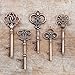 50 Key Bottle Openers, Assorted Vintage Skeleton Keys, Wedding Party Favors (50, Antique Copper)