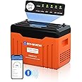 ECO-WORTHY 24V 100AH Bluetooth Lithium Battery with SOC LED Display, Built-in BMS with Low Temperature Protection, 15000+ Cycles Smart LiFePO4 Battery for Off-Grid, Home Power System, RV, Solar