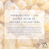 Absolute Aromas Frankincense Essential Oil 10ml Pure Boswellia Carteri view 7