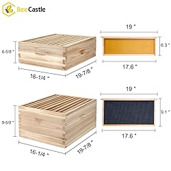 BeeCastle 10 Frame Langstroth Bee Hive, Beehive