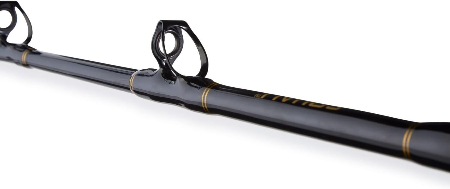 penn squall 30 combo