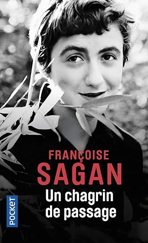 Download Un chagrin de passage PDF
