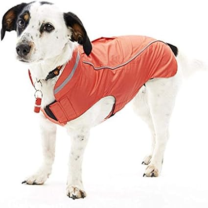 Buster dog raincoat Clearance