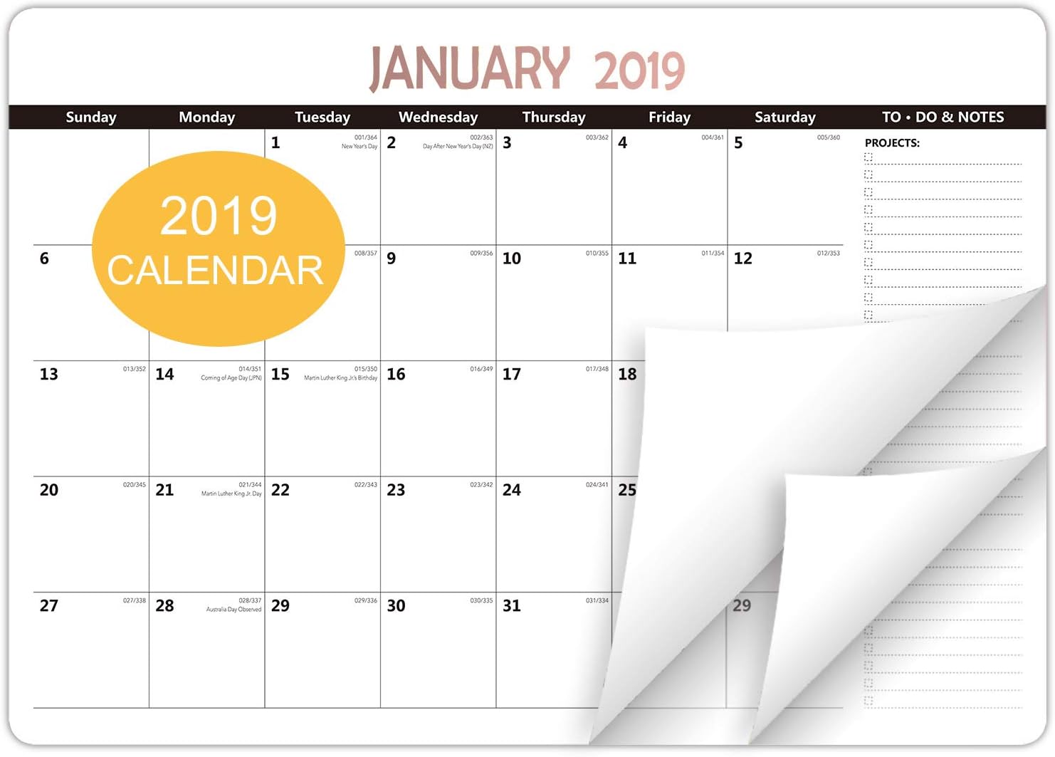 CAIYI STUDIO Desk Calendar 2019, 17" x 12" Monthly Desk Pad Calendar, Runs from January 2019 Through December 2019 (Black, 1 Pack)