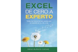 Excel de cero a experto: todas las herramientas usadas por un experto en su día a día (Spanish Edition)