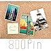 Little Otter Metal Push Pins (800pcs) - 4 Decorative Metallic Colors Thumb Tacks Map Pins l Great for Scratch Travel Map, Bulletin Board, Cork Board,Shadow Box l DIY Cubicle Wall Photo Decoration