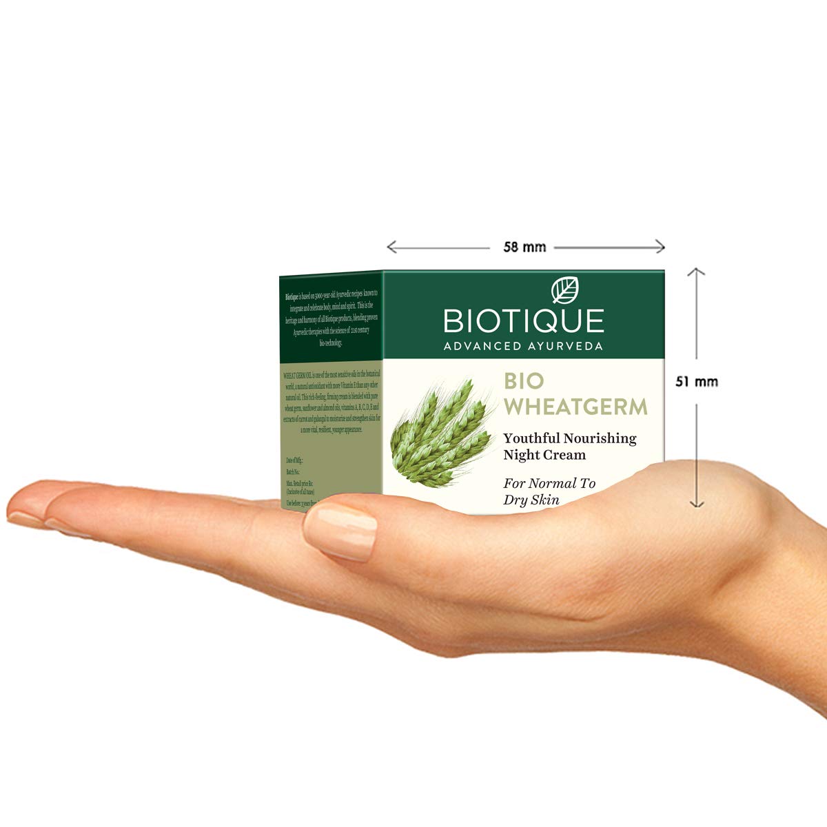 biotique bio wheat germ nourishing night cream