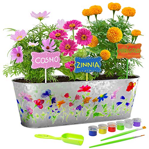Paint & Plant Flower Growing Kit - Grow Cosmos, Zinnia, Marigold Flowers - Includes Everything Needed to Paint and Grow - Great Gift for Children STEM
