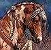DIY Diamond Painting Cross Stitch Animal Brown Horse Feather Rubik 5D Pictures of Crystal Embroidery Mosaic Kits 30x30cm（12x12
