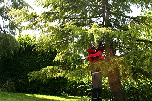 Mitox 28PP Select Petrol Pole Pruning Saw, Red Astsäge für Benzinstangen, rot – Bild 4