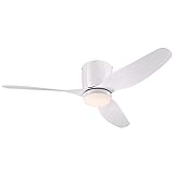 Westinghouse 7225100 Carla Indoor Ceiling Fan with