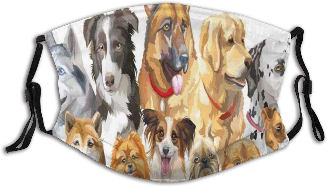 dalmatian pomeranian