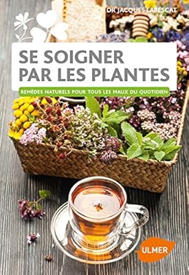 Se Soigner Par Les Plantes Remedes Naturels Pour Tous Les Maux Du Quotidien French Edition Labescat Jacques 9782841388943 Amazon Com Books