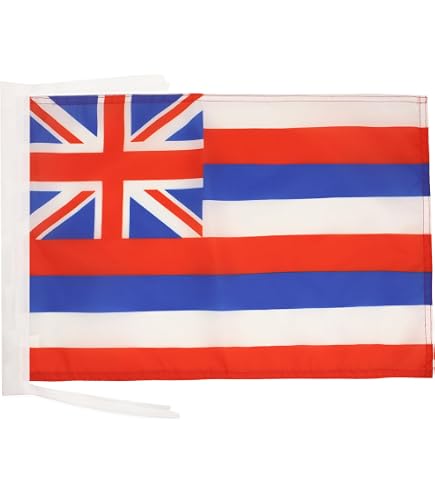 Amazon.com : FRF FLAG Hawaii State Flag 12x18 Inch, Double Side