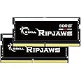 G.SKILL Ripjaws DDR5 SO-DIMM Series DDR5 RAM 32GB (2x16GB) 4800MT/s CL34-34-34-76 1.10V Unbuffered Non-ECC Notebook/Laptop Memory SODIMM (F5-4800S3434A16GA2-RS)