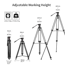 Cayer BF30L Video Tripod with Fluid Head, 73" Heavy