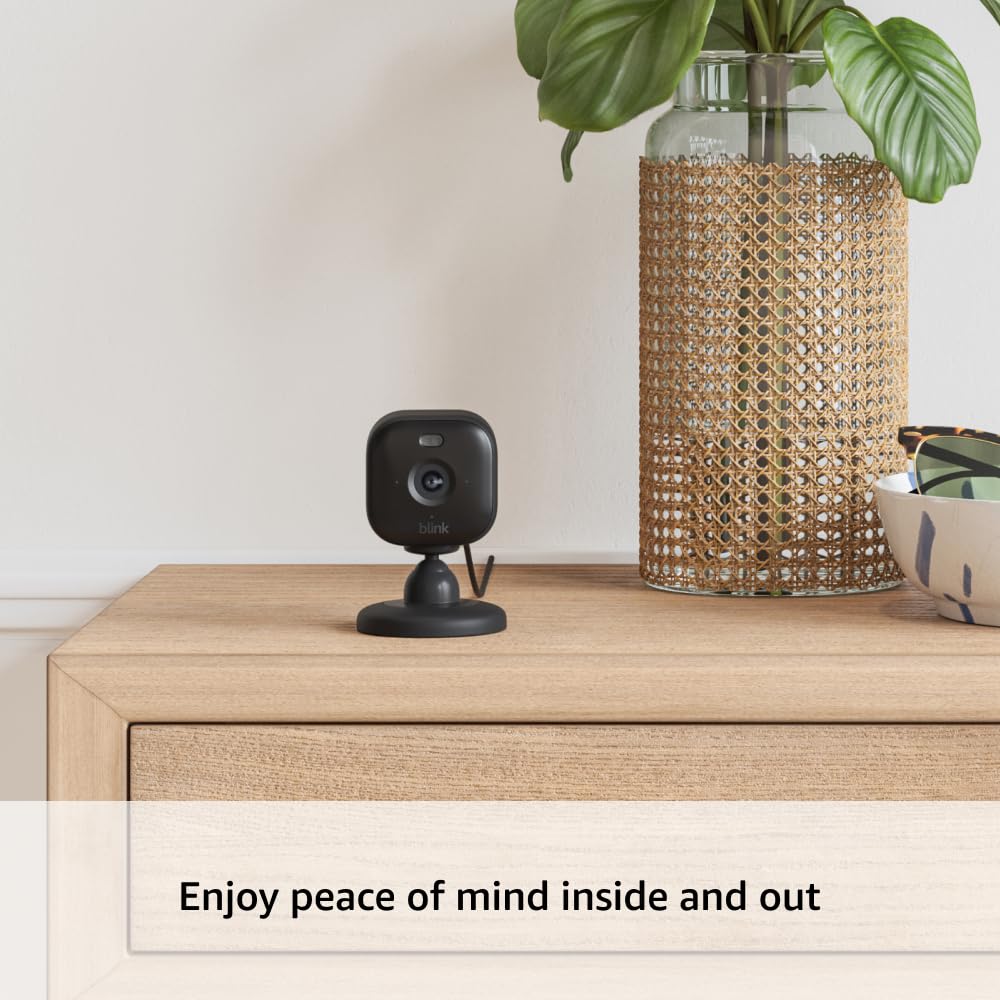 Blink Mini 2 + Weather Resistant Adapter — Indoor/Outdoor Home Security & Pet Camera(s) with HD video, motion detection, and built-in spotlight — 1 camera (Black)