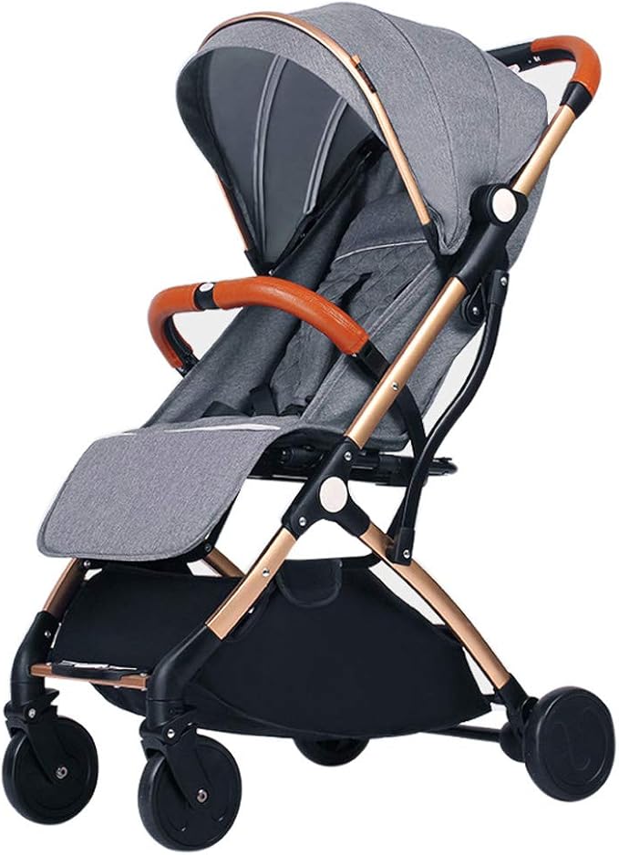 carriage stroller travel system