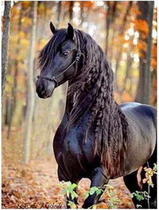 Demarkt DIY 5D Diamant Painting Crystal Strass Stickerei Bilder Kunst