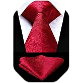 HISDERN Paisley Ties for Men Solid Tie Handkerchief Floral Men's Necktie & Pocket Square Set Wedding Classic Mens Ties