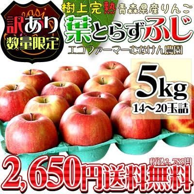 Amazon 青森 りんご 葉とらず栽培 訳あり むなけん農園 青森りんご 家庭用5kg 品種 ふじ むなけん農園 食品 飲料 お酒 通販