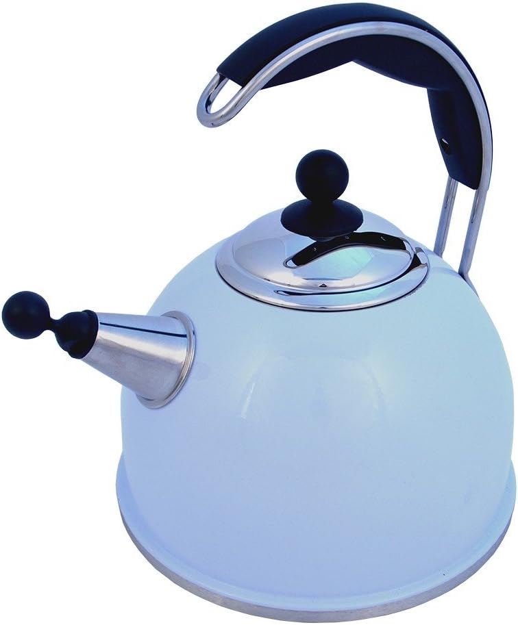 AGA Stainless Steel Whistling Kettle Duck Egg BigaMart