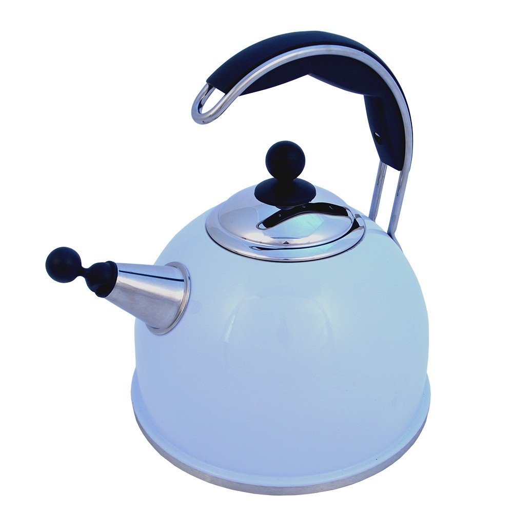AGA Stainless Steel Whistling Kettle Duck Egg