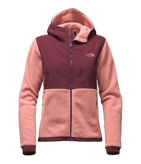 the north face women's denali 2 hoodie