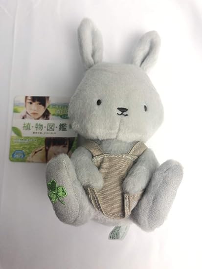 Amazon 岩田剛典映画植物図鑑ぬいぐるみ 人形 がんちゃん ぬいぐるみ ホビー