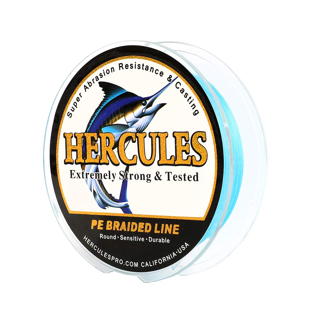 Hercules Super Cast 300M 328 Yards Braided Fishing Line 20 LB Test for Saltwater Freshwater PE Braid Fish Lines Superline 8 Strands - Blue, 20LB (9.1KG), 0.20MM