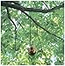 Panacea 89015 Garden S Hook, Black, 18-Inch