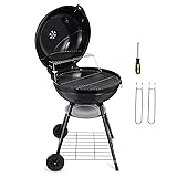 HaSteeL 22 Inch Charcoal Grill, 2 Layer Grilling