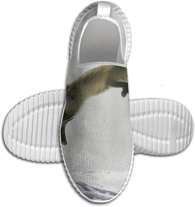 Running Dog Shoes Lightweight Sports Trail And Road Running