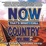 NOW That's What I Call Country Vol. 2