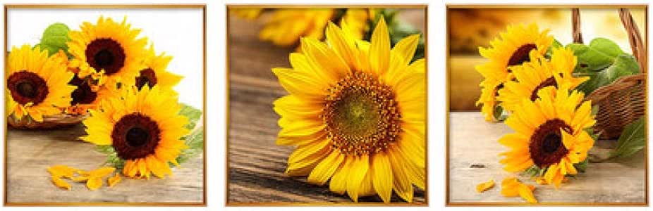 NOBRAND Salón de Girasol Simple Flor Moderna Pintura Lienzo póster