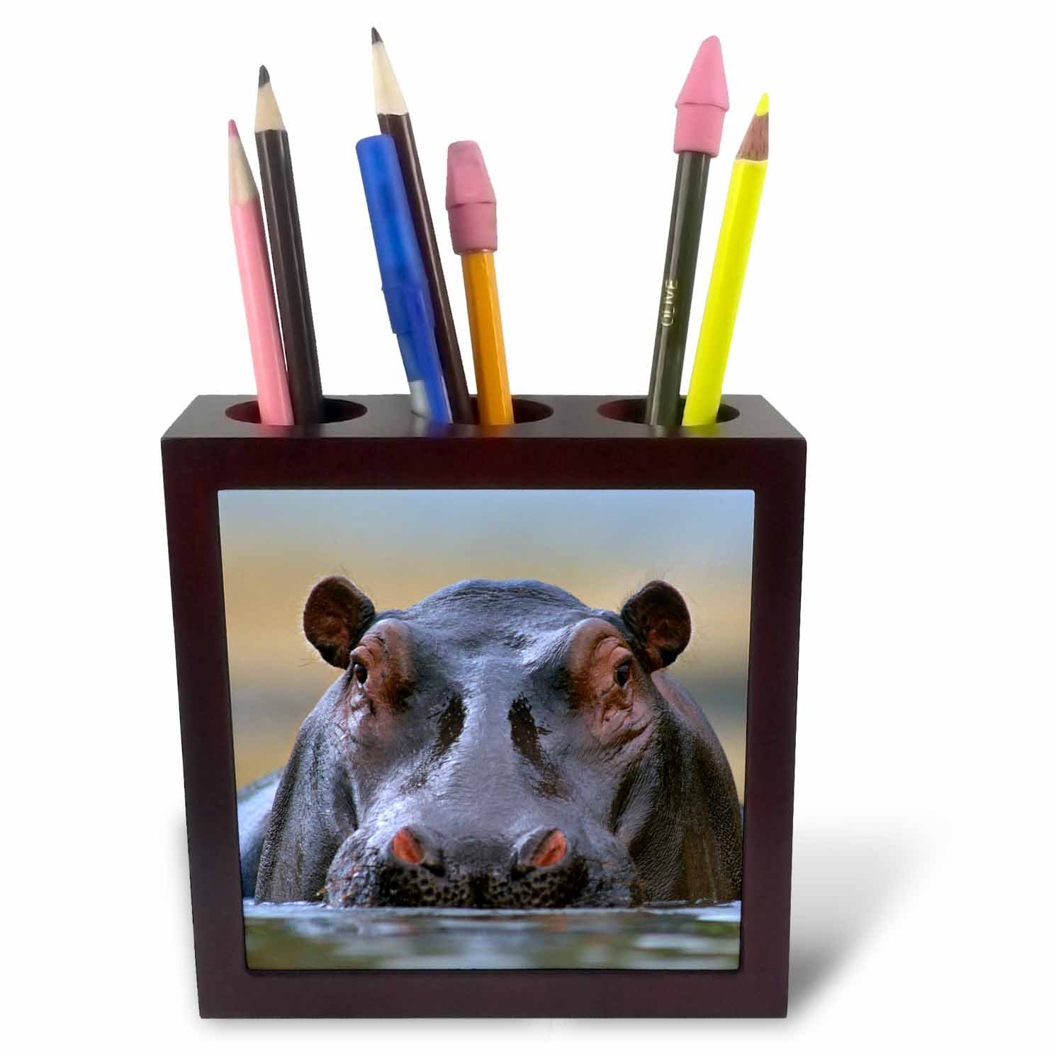 3dRose Hippopotamus, Hippopotamus Amphibius, Kenya, Africa - Tile Pen Holder, 5-Inch (Ph_256927_1)