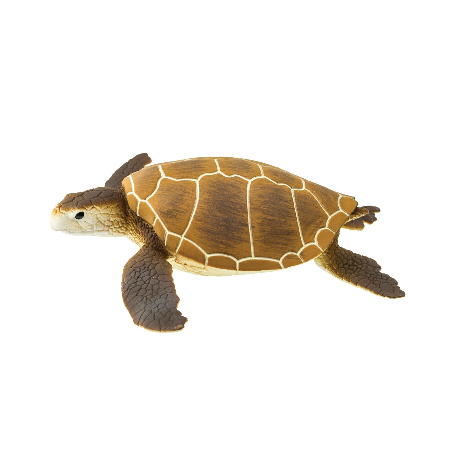 Safari Ltd Wild Safari® Sealife 202329 – Green Sea Turtle (Soup Turtle)