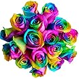 Fresh Rainbow Roses Bouquet for Mother's Day by Flower Explosion - 12 Stems