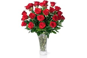 Aquarossa Farms – Flowers for Delivery, Fresh Flowers Bouquet, Handpicked from the Farm, Gift for Birthday, Anniversary, or Just Because – 24 Fresh Roses