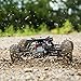 ECX Amp Db 2WD Desert Buggy RTR Vehicle (1/10 Scale), Black/Yellow