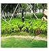 Deruicent Tent Pole 2 PCS Aluminum Alloy Tent Rod Replacement Accessories for Hiking Camping