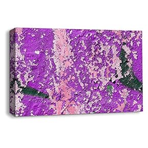 SIGNFORD Canvas Wall Art for Living Room,Bedroom Home...