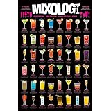 Pyramid America Mixology Cocktail Mixed Drinks Chart Cool Wall Decor Art Print Poster 24x36