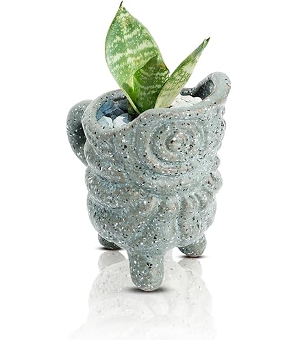 Amazon.com : Mozing Retro Succulent Planter Ceramic Flower Pot for