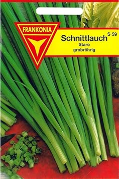 Frankonia S59 Schnittlauch, Staro grobröhrig, Samen