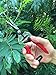 gonicc Professional Micro-Tip Pruning Snip (GPPS-1008), Small Garden Hand Pruner & Shears for Arranging Flowers, Trimming Plants & Hydroponic Herbs, and Harvesting Fruits & Vegetables.thumb 4